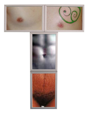 http://www.lara-vincy.com//images/evenement/116/carrousel/4_tisfortransgender2.jpg