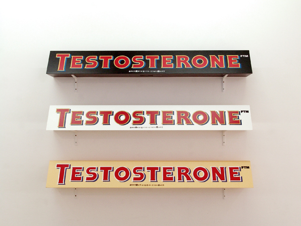 http://www.lara-vincy.com//images/evenement/98/carrousel/testosterone.jpg